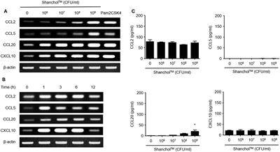 Killed Whole-Cell Oral Cholera Vaccine Induces CCL20 Secretion by Human Intestinal Epithelial Cells in the Presence of the Short-Chain Fatty Acid, Butyrate